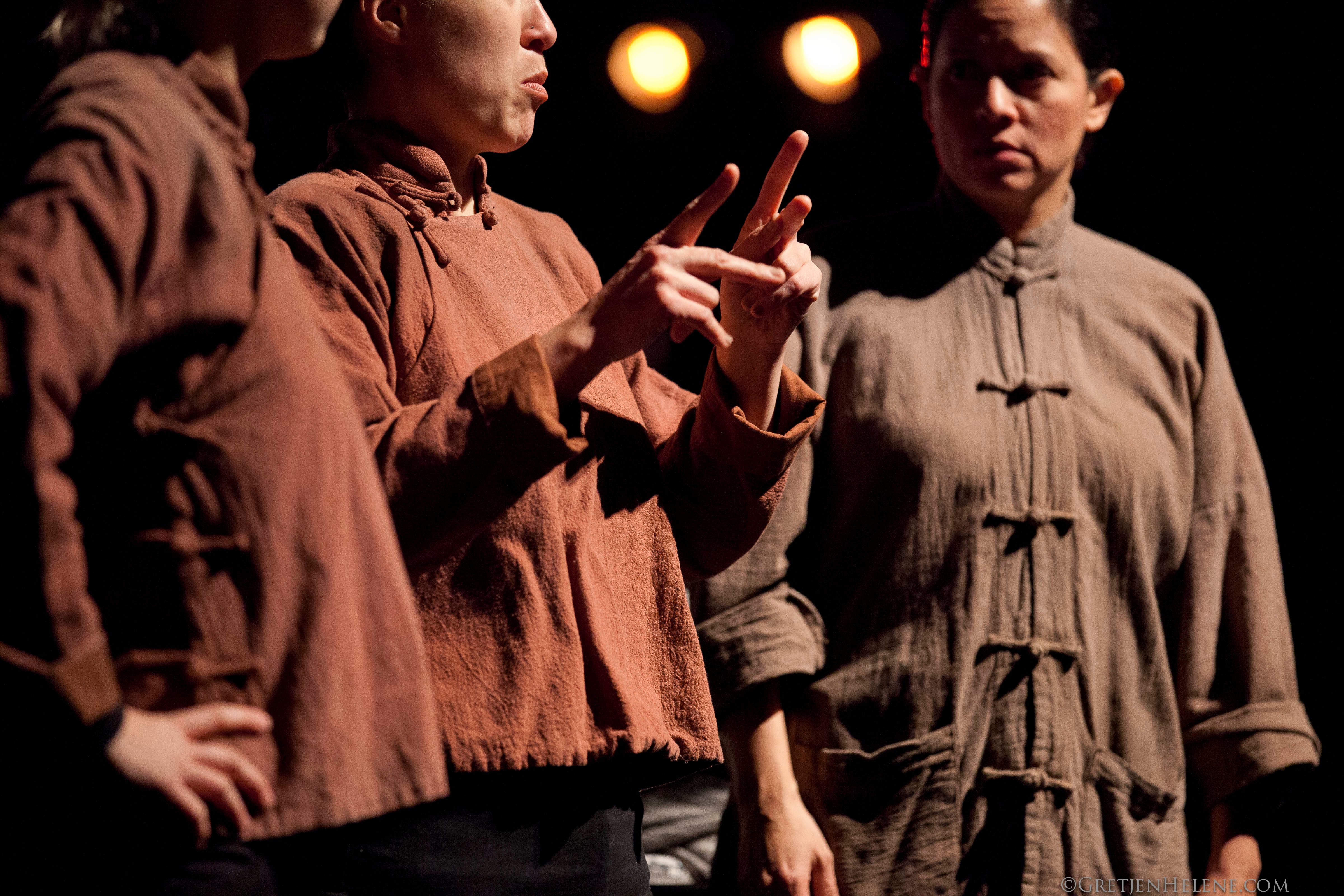 Wild Swans ASL Performance