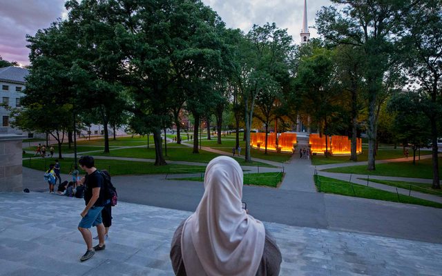 Teresita Fernández's Autumn (...Nothing Personal) installed in Harvard Yard