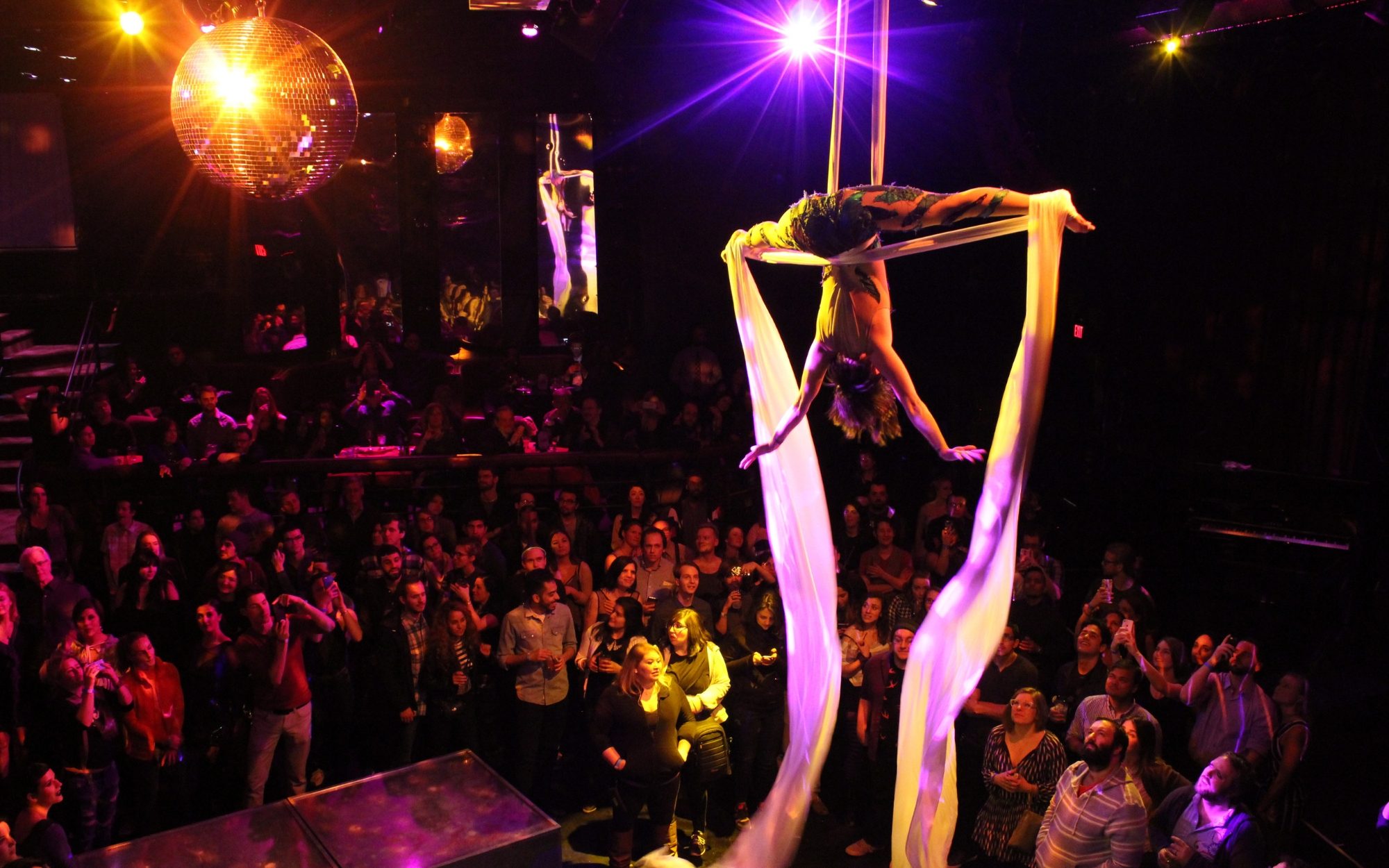 AcousticaElectronica