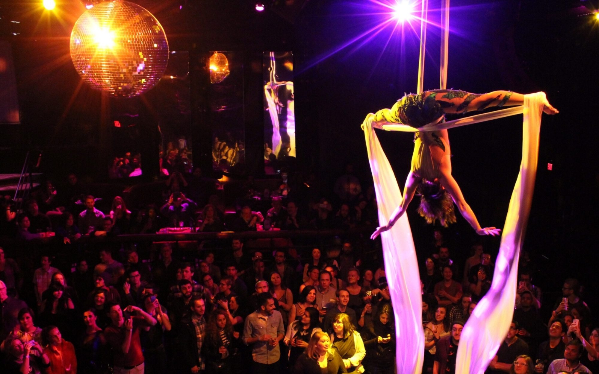 AcousticaElectronica