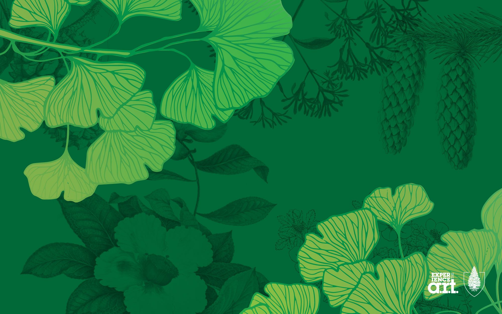 The Arboretum Experience