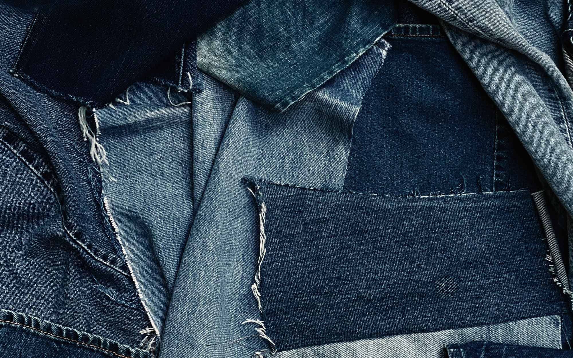 WILD: A Musical Becoming