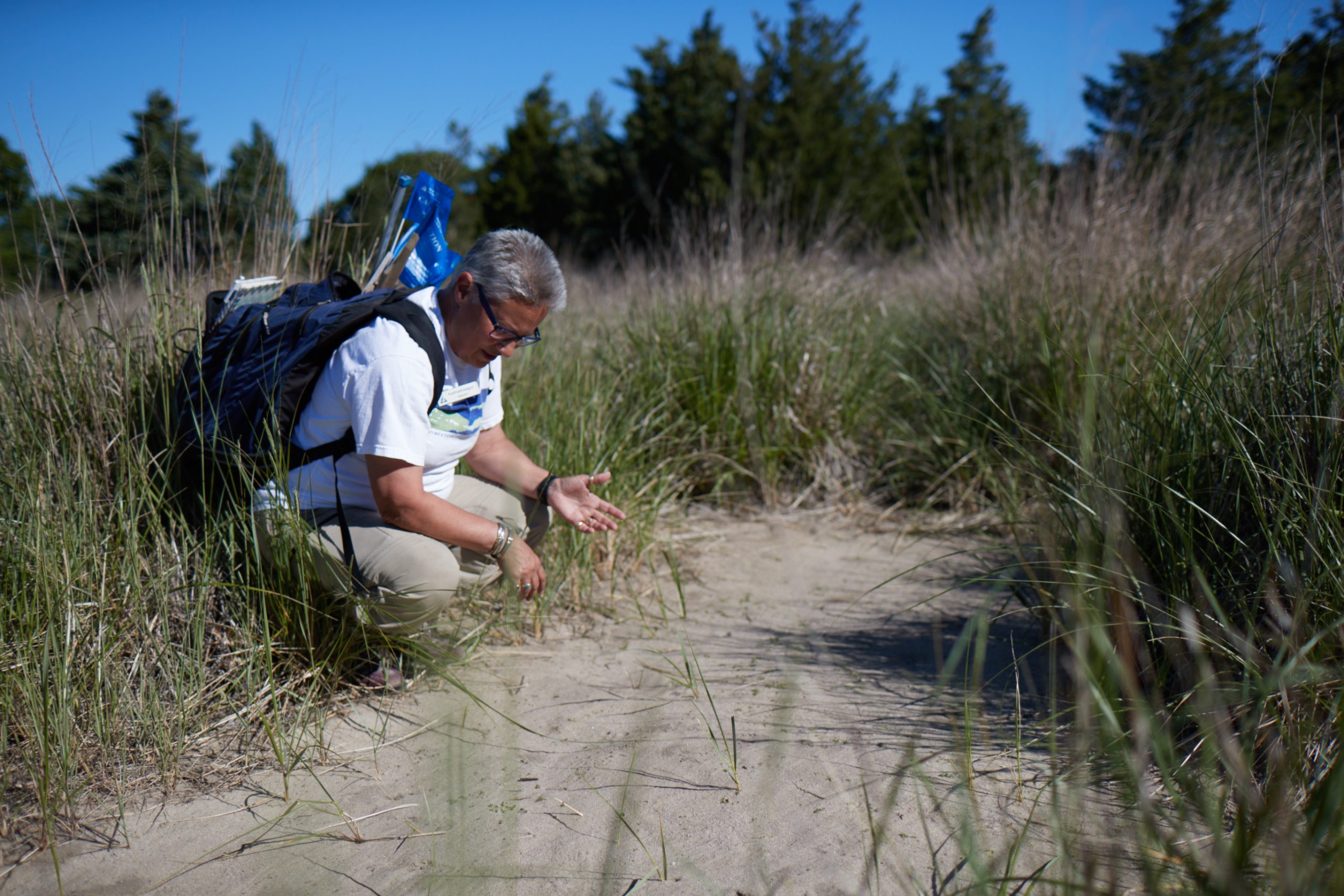Mass Audubon Workshops