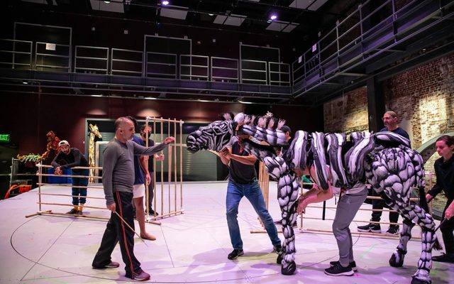 Rajesh Bose holds out his hand to a zebra puppet, manipulated by Avery Glymph (head), Andrew Wilson (heart), and Betsy Rosen (hind legs).