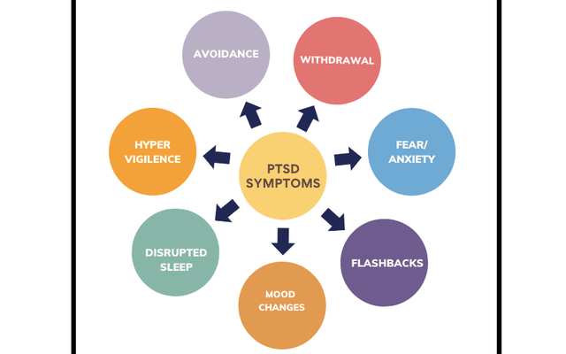 PTSD Symptoms include: avoidance, withdrawal, fear/anxiety, flashbacks, mood changes, disrupted sleep, and hypervigilance.