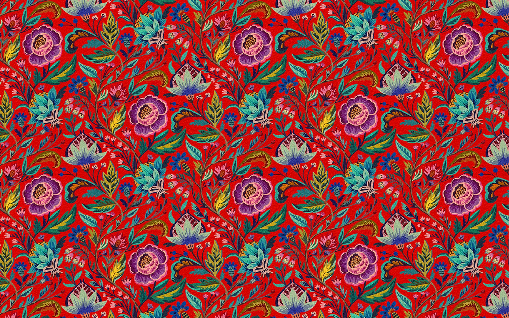 Real Women Have Curves