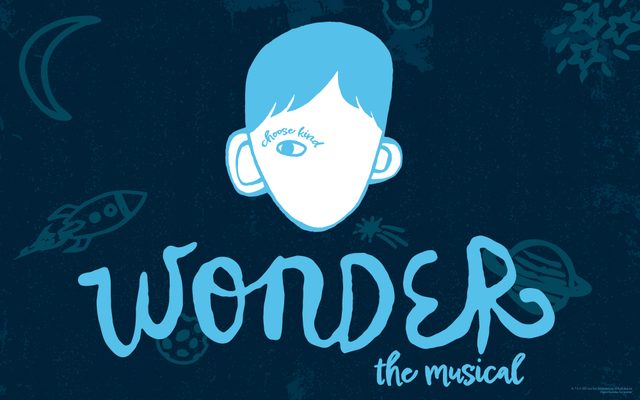 Wonder the musical
