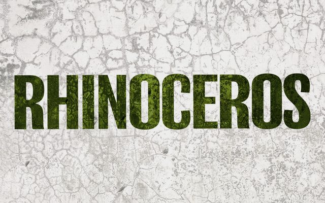 Rhinoceros